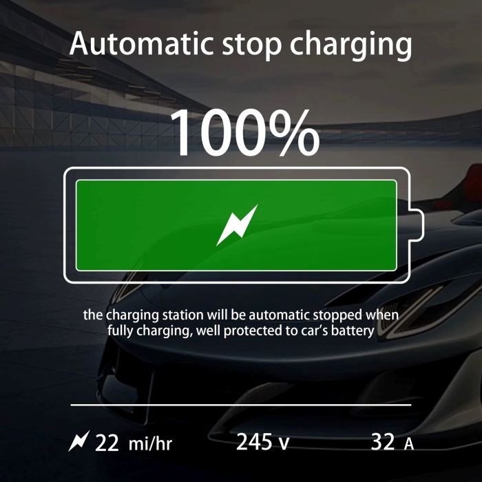 Зарядка для електромобіля Feyree Lion King Replaceable 7.4 кВт Tesla